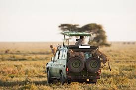 <span> Day 6 </span> Full Day Game Drive at Solio Ranch