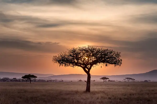 Tanzania