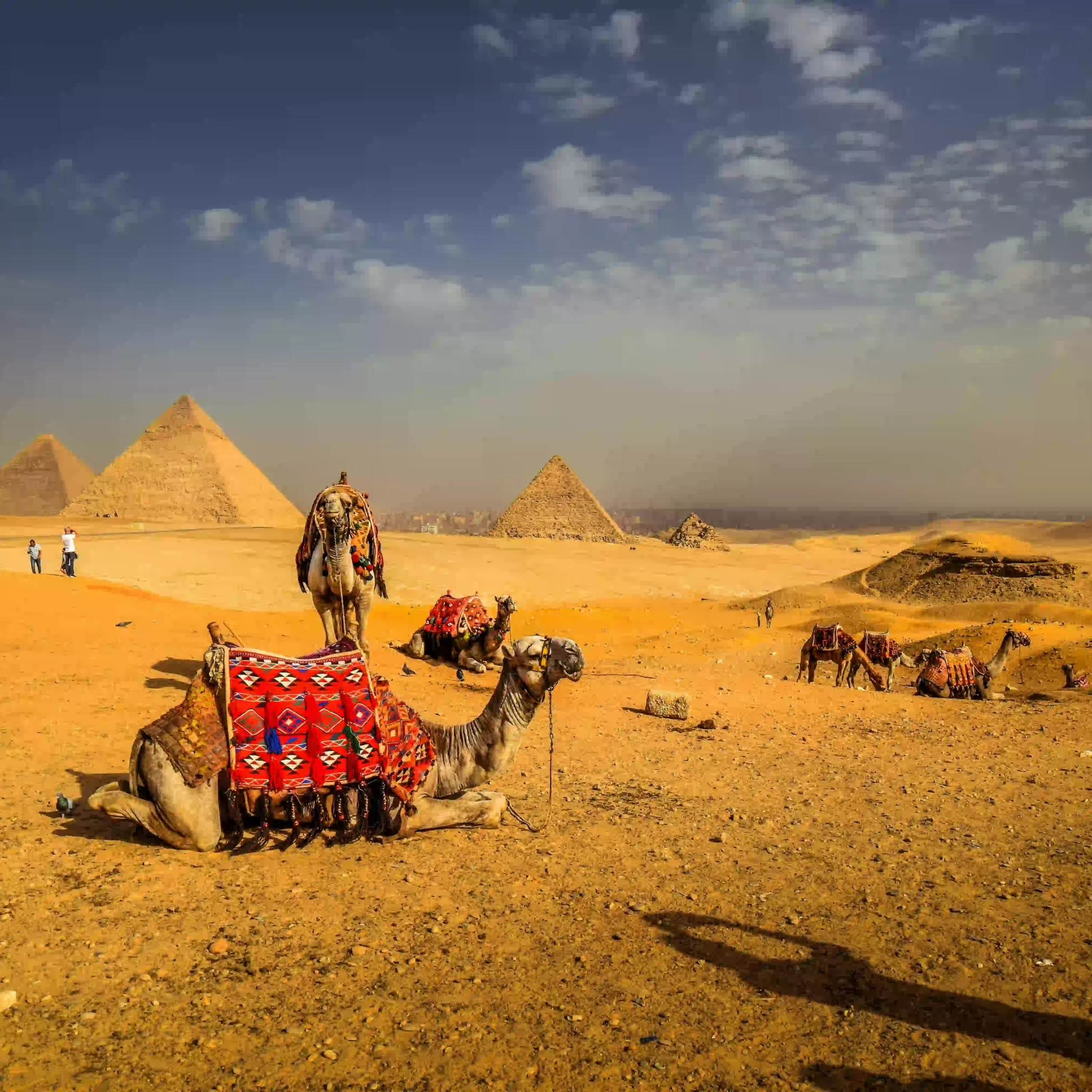 DAY 2 | Giza Pyramids & Grand Egyptian Museum